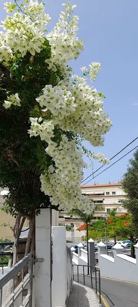Stiro lavandería tintorería. - Puerto de la Cruz