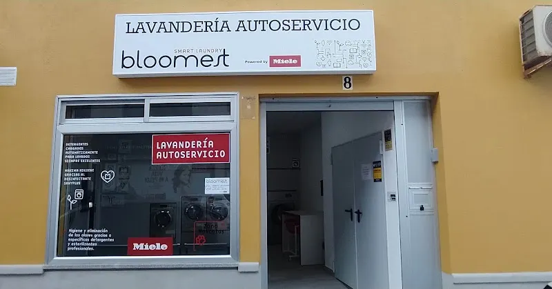 Lavanderia autoservicio bloomest Candelaria - Candelaria