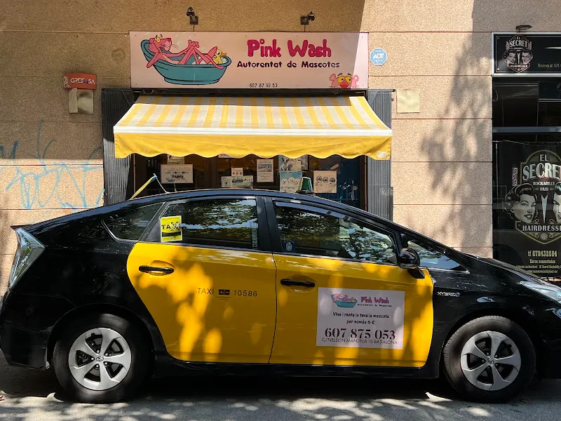 AUTO LAVADO DE MASCOTAS PINK WASH - Badalona