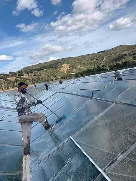 Blanqueo y lavado de invernadero MT - Almería