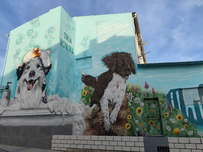 Lavandería y lavado de mascotas - Tria Nomina - Mérida
