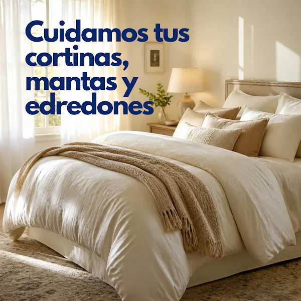 Bugaderia Tintoreria Els Arcs