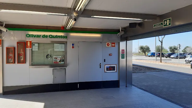 Olivar de Quintos