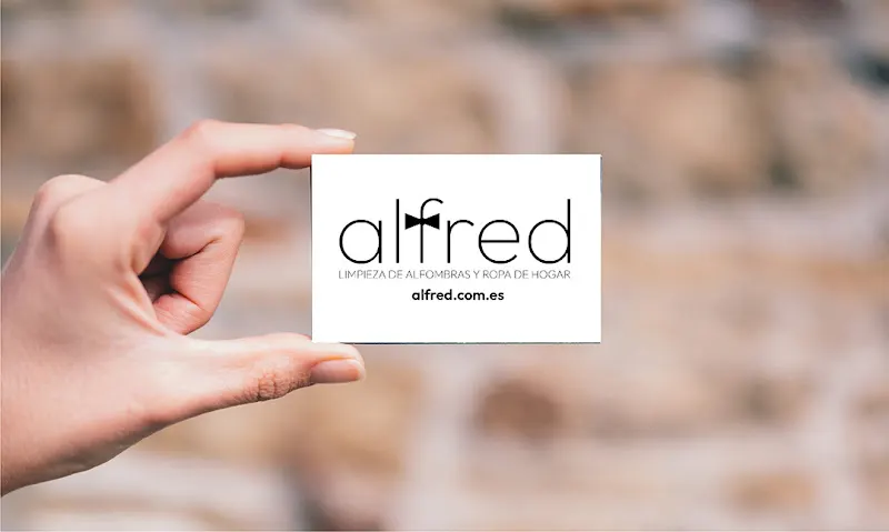 alfred - Servicio de limpieza de alfombras en Majadahonda - foto 2