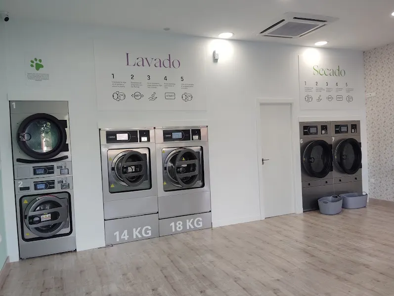 Lavandería autoservicio El Fuerte L&E - Lavandería de autoservicio en Guadalajara - foto 2