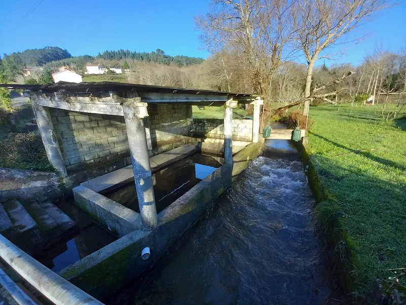 Lavadero San Jacinto - Ferrol
