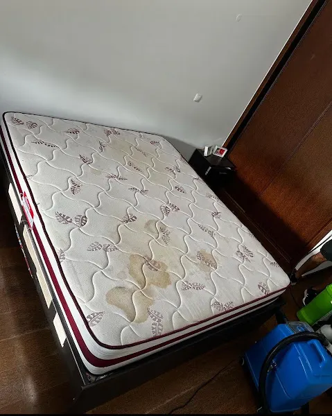 Abba Clean higienización y blindaje - L'Hospitalet de Llobregat
