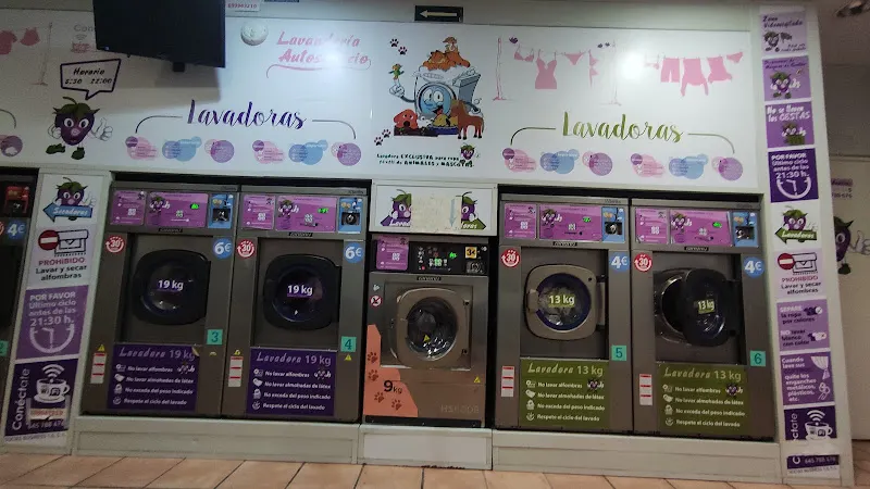 Lavandería Autoservicio Socias Business