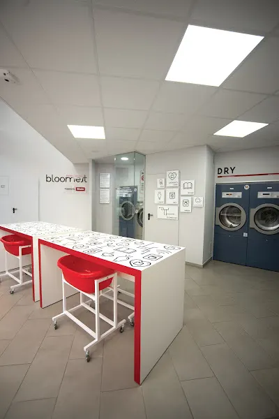 Lavandería Autoservicio Bloomest en Mula - Mula