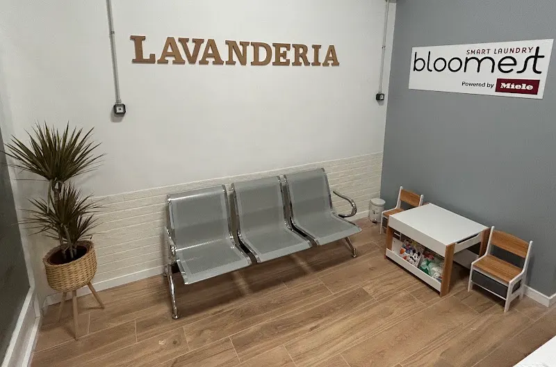Bloomest Bugaderia-Lavanderia Balaguer - Balaguer
