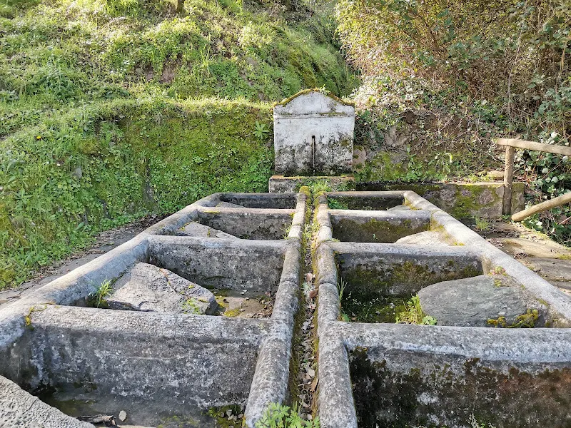 LAVADEROS CASTAÑUELOS - Lavandería en Aracena - foto 2
