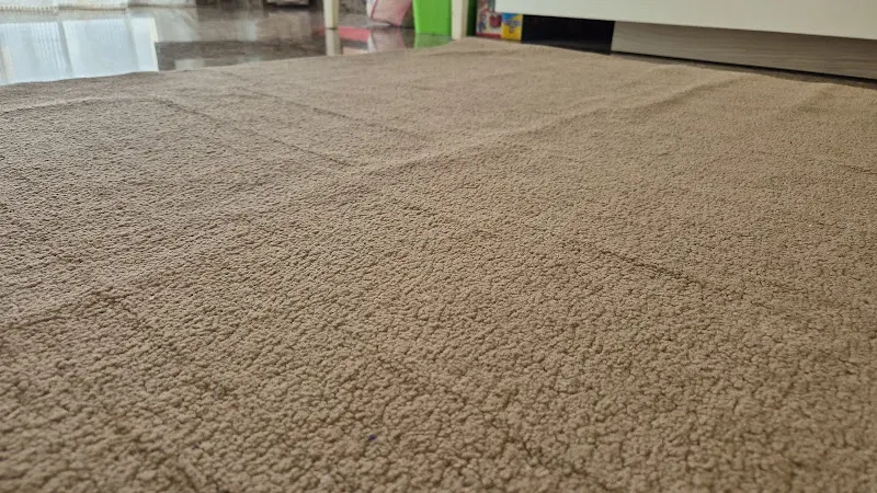 Limpia max - Servicio de limpieza de alfombras en Burjassot - foto 2