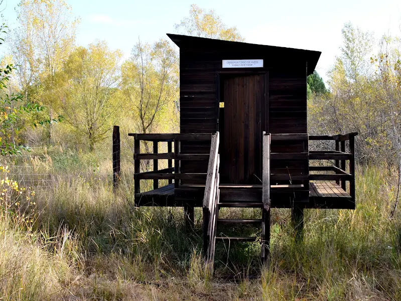 Espacio Natural de la Arenera de Compasco - Aldeamayor de San Martin