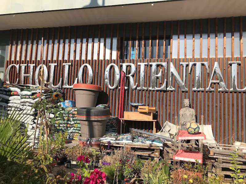 Chollo Oriental - San Mateo de Gallego