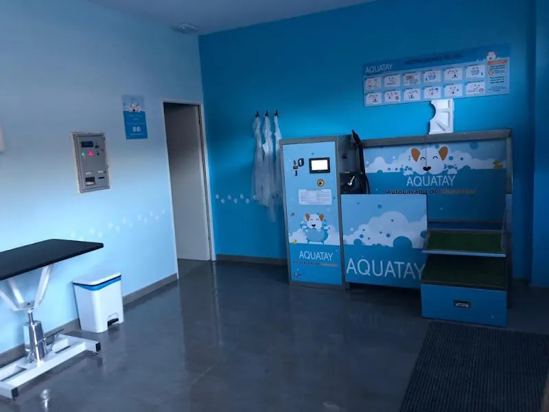 Prowash Professional Car Washing - Fábrica de maquinaria en Barcelona - foto 2
