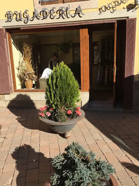 Bugaderia magda - Llivia