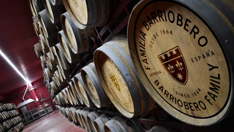 Bodegas Señorío de Barriobero - Bodega en Entrena - foto 4