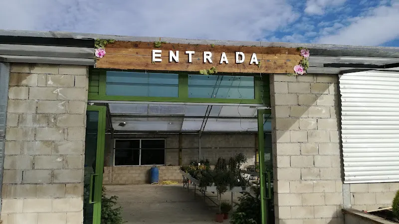 Torman, S.C. - Centro de jardinería en Titulcia - foto 3