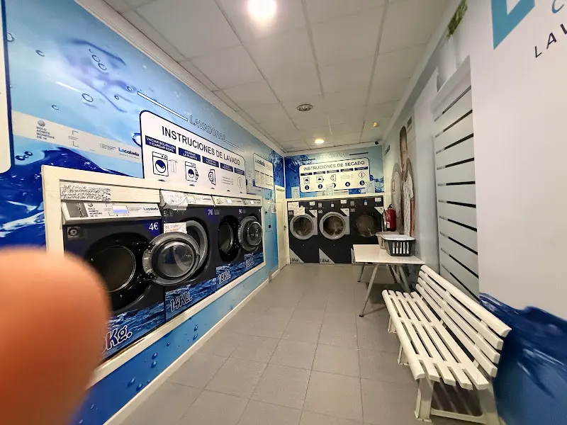 Lavandey sueca - Nerja