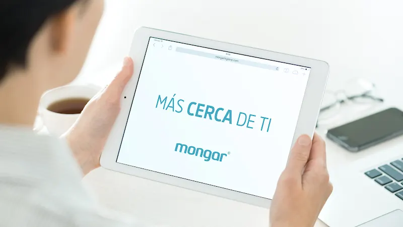 Mongar Higiene - Servicios de limpieza en Jaén - foto 2