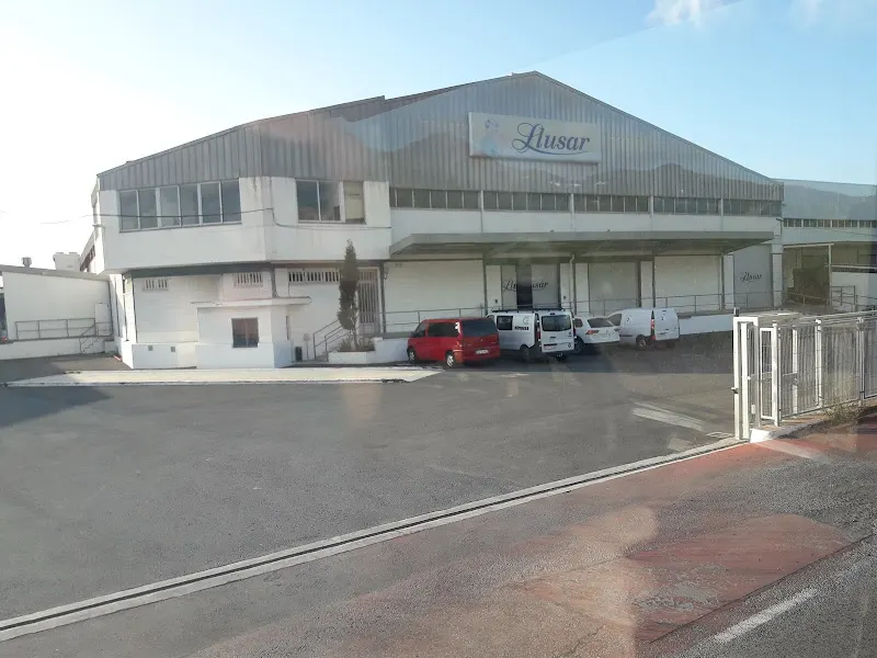 Antonio Llusar - Mayorista de frutas y hortalizas en Vilavella (la) - foto 2