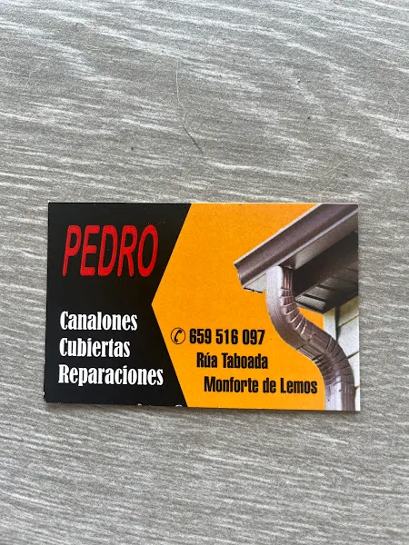 Canalones PEDRO, FIVA