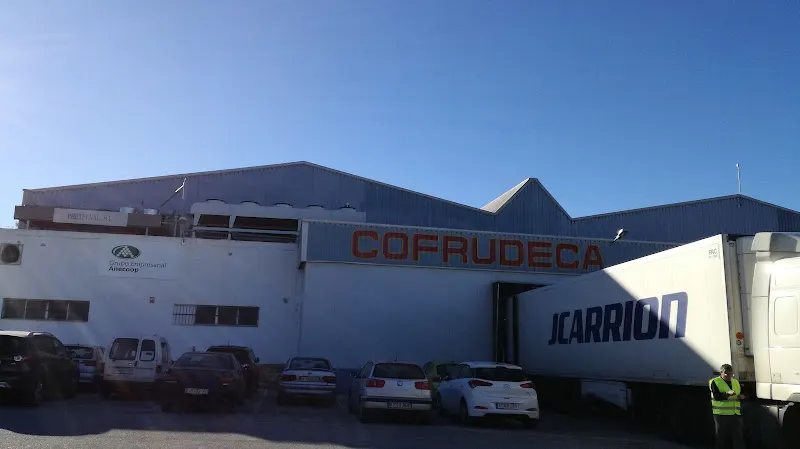Cofrudeca Coop Valenciana - Bèlgida - Belgida