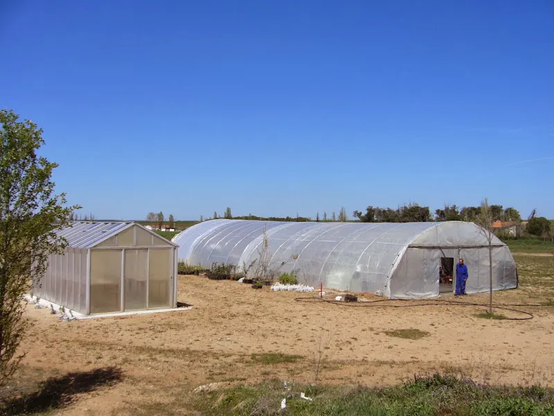Seila S.L Jardinería, Lavandería y Limpieza - Calzada de Valdunciel
