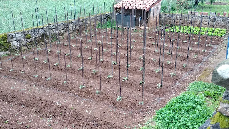 Cooperativa San Blas de Robres - Robres