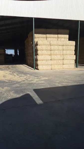 Forrajes y Proteínas - Tienda de alimentos para animales en Villalar de los Comuneros - foto 2