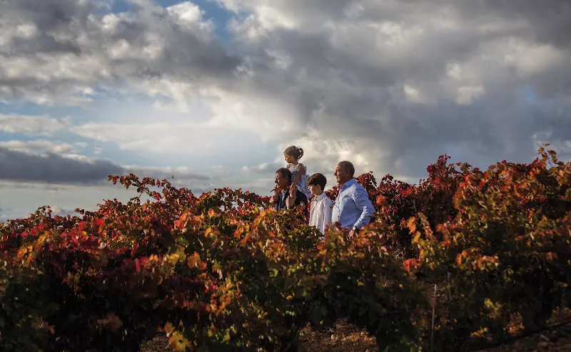 Bodegas Dominio Berzal - Banos de Ebro/Manueta