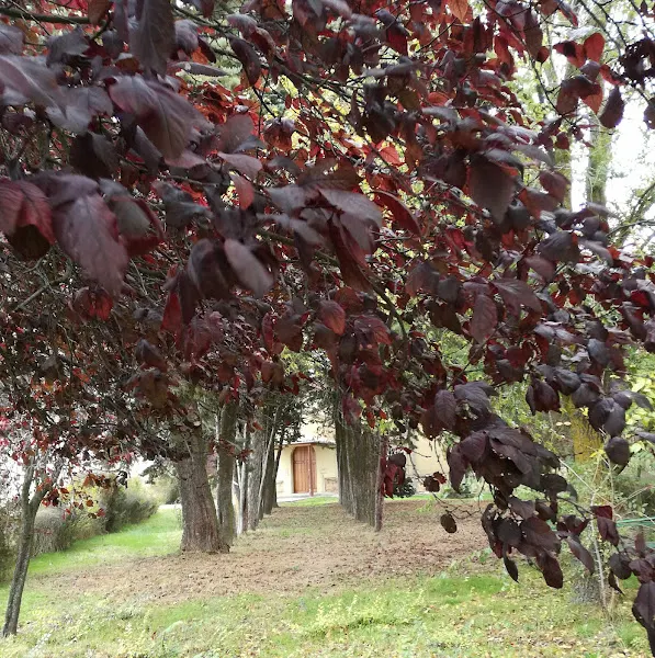 La Orbada - Salamanca en Orbada (La) - foto 2