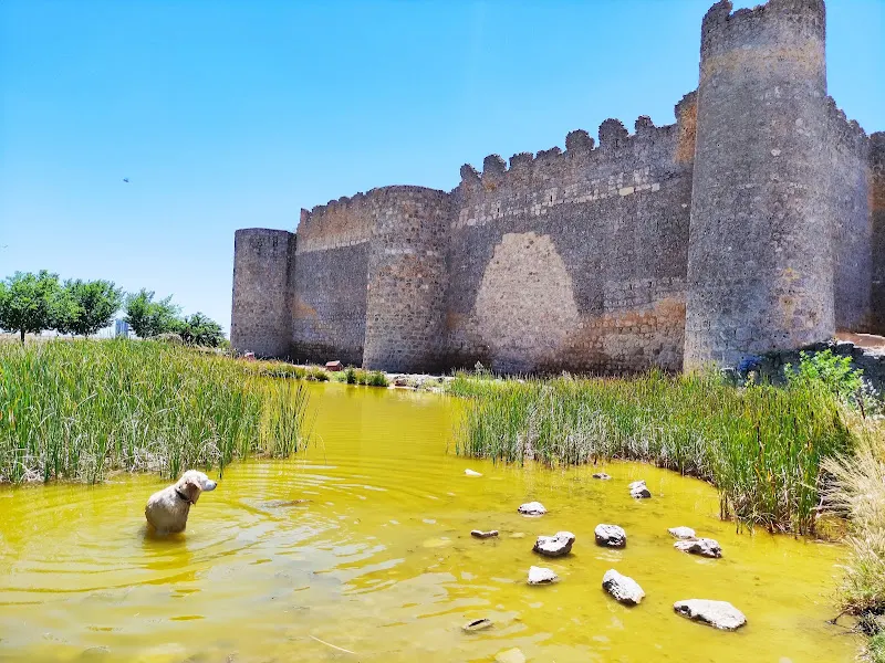 Urueña - Valladolid en Uruena - foto 3