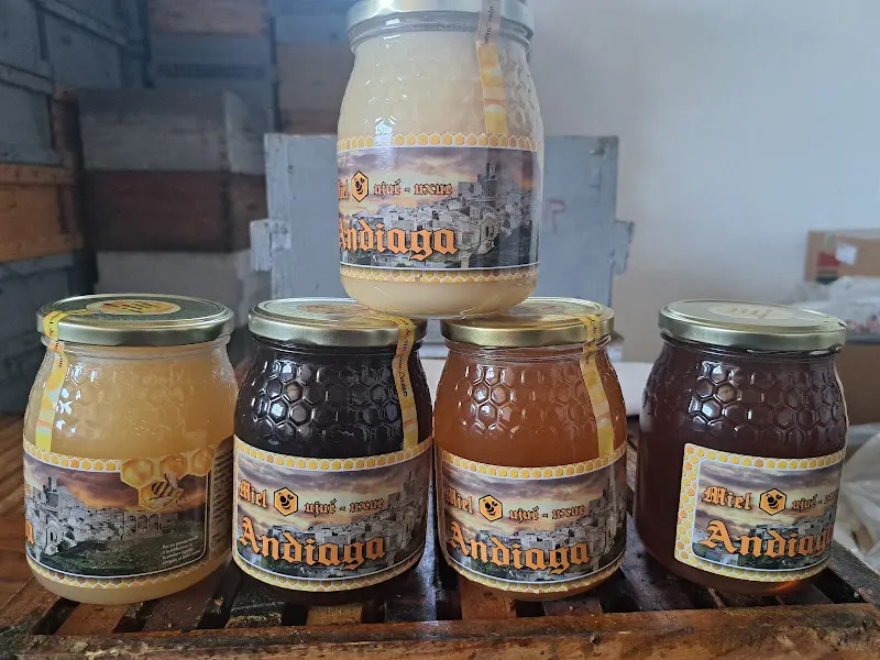 Miel Andiaga, apicultor de Ujue - Ujue