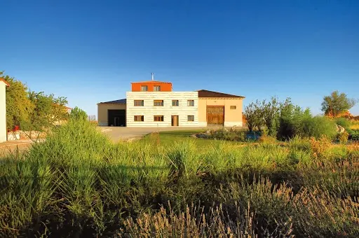 Páramo de Corcos - Bodega en Moradillo de Roa - foto 2