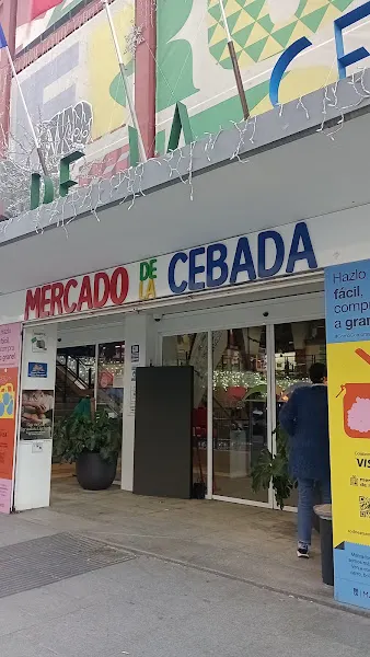 Lavandería Blanco Puro La Cebada