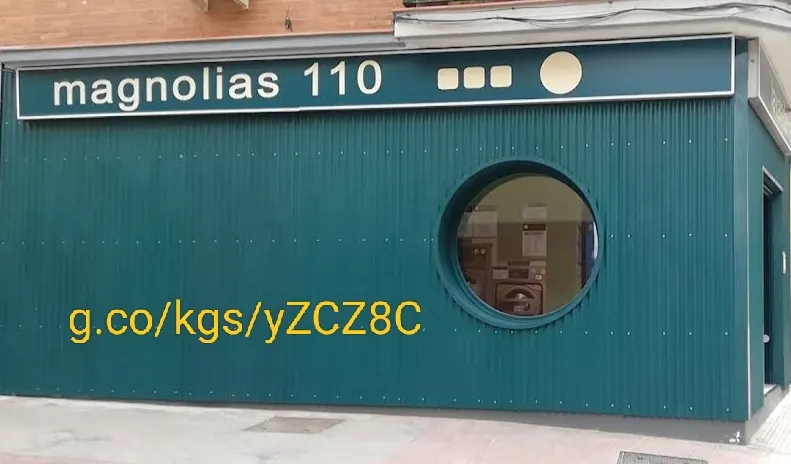 Lavandería autoservicio Magnolias 110