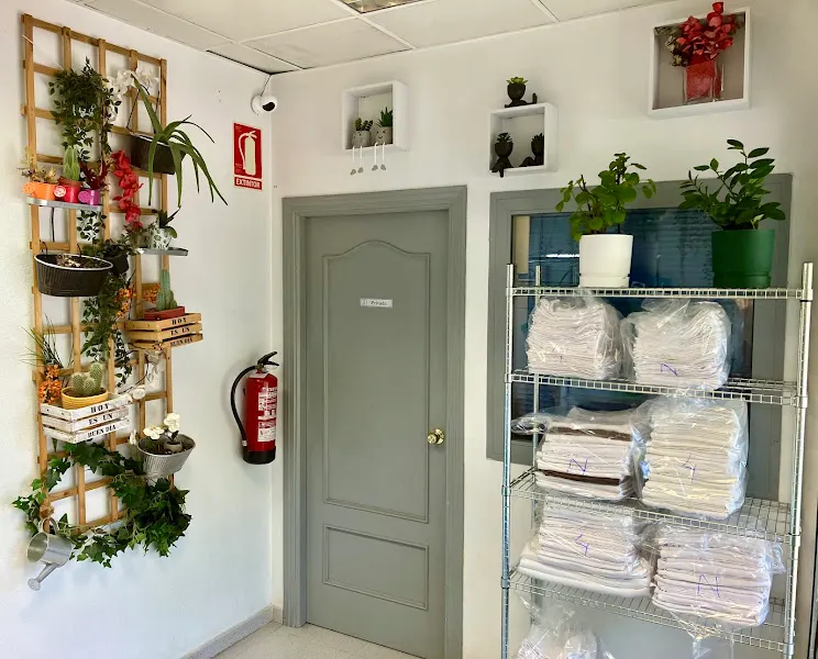 TINTOGO Tintorería Ecológica las Rosas
