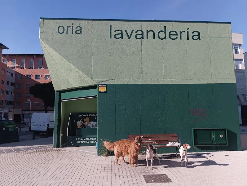 Lavandería autoservicio Herrera Oria Lavamascotas - Lavandería de autoservicio en Madrid - foto 2