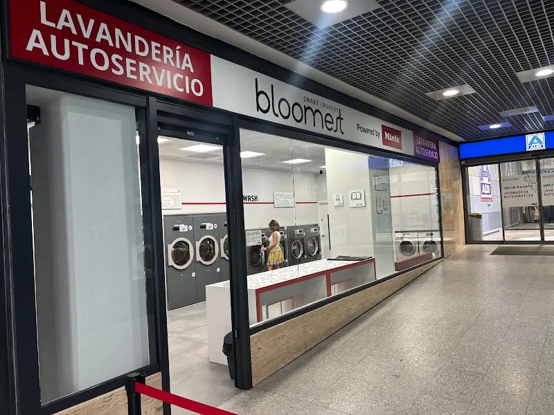 Bloomest - Proveedor de equipos de lavandería a monedas en Alcobendas - foto 2