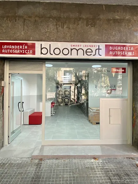 Miele Lavanderia de autoservicio Bloomest