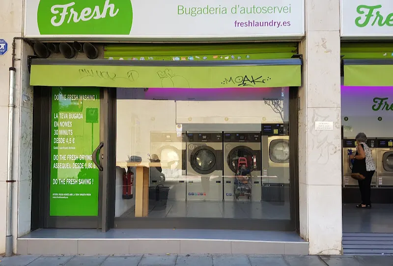 Fresh Laundry Camil Fabra