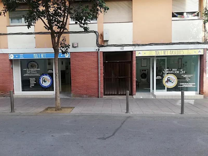 Lavandería Molt Net i Molt Net Mascotas - Lavandería de autoservicio en Barcelona - foto 2