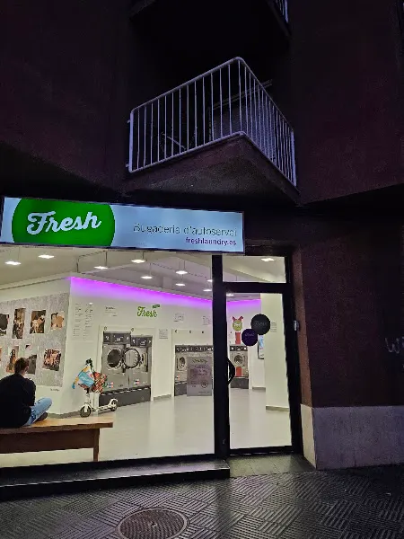 Lavanderia Valle - Servicio de lavandería en Sant Adrià de Besòs - foto 2