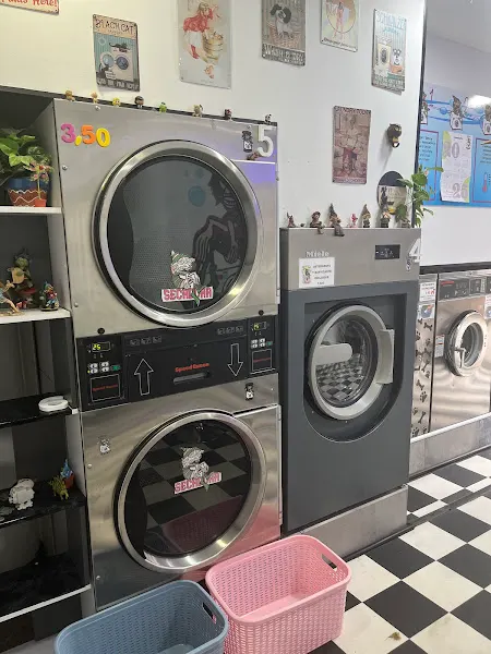 Family Laundry Cerdanyola