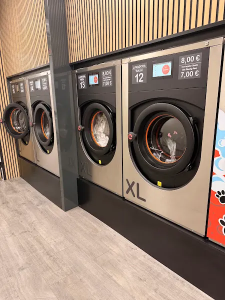 Laundry Park - Las 3 gracias - València