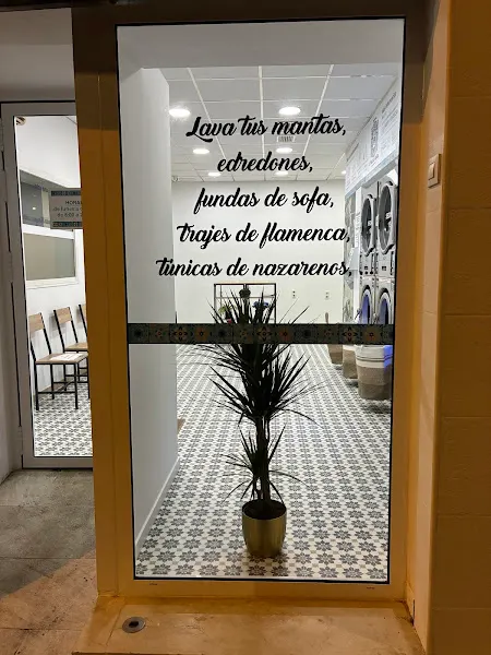 por C. Guanahaní - Lavandería en Sevilla - foto 2