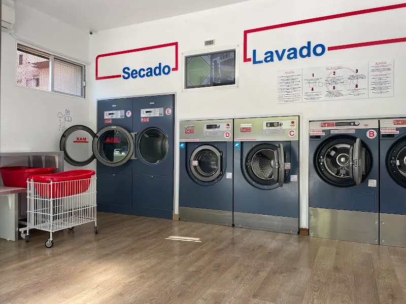 BLOOMEST-MIELE LAVANDERÍA AUTOSERVICIO ACTUR ZARAGOZA - Zaragoza