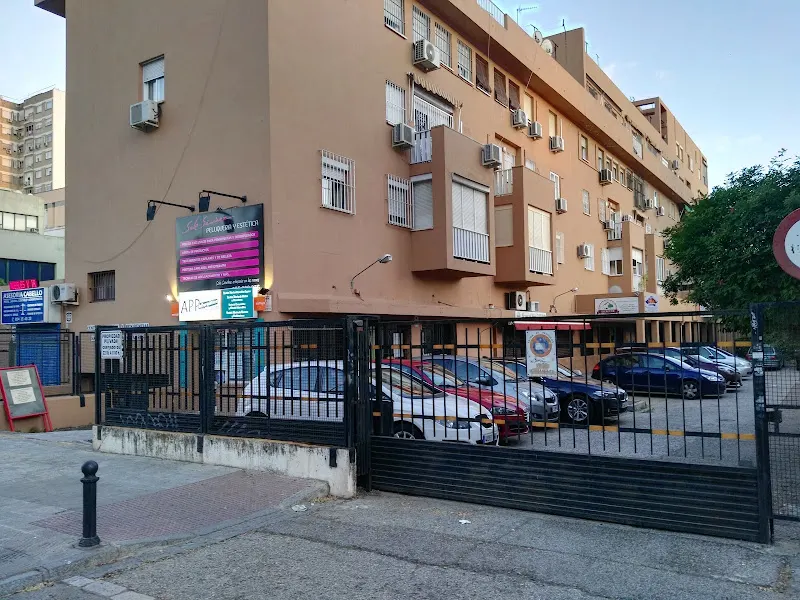 Altrex Limpiezas - Sevilla