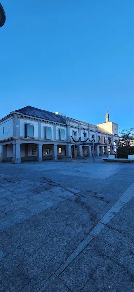 Tinte Pozuelo